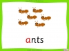 The Letter 'a' - EYFS Teaching Resources (slide 5/21)